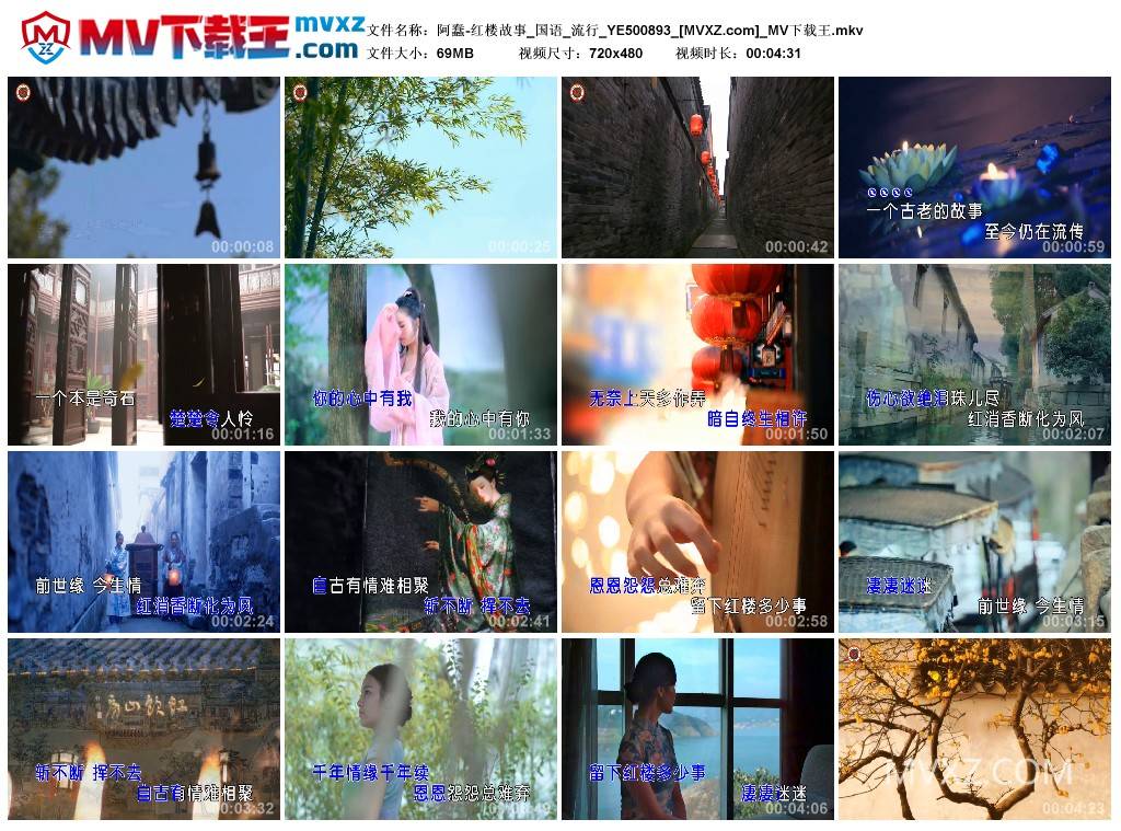 阿蠢-红楼故事_国语_流行_YE500893